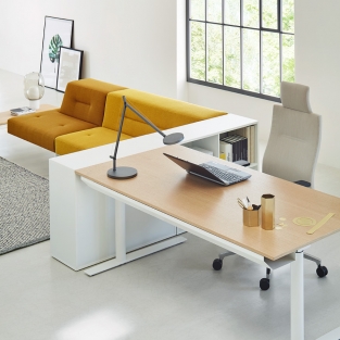 mobilier_de_bureau_bureau_01